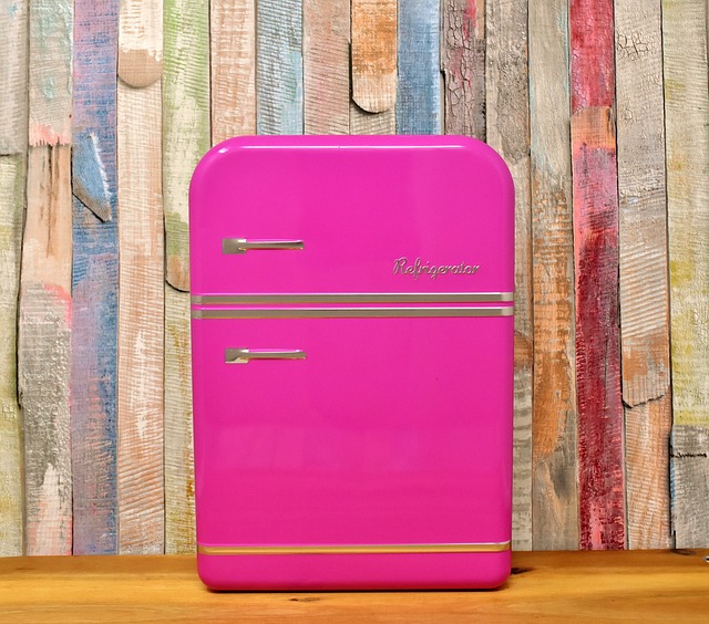 Asko's køleskabe: Kombinationen af stilfuldt design og bæredygtighed