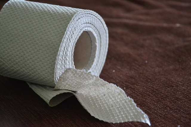 Toiletpapir gennem tiden: Fra blade til luksuriøse ruller