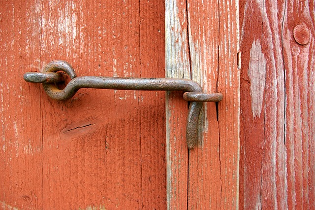 Fra klassisk til moderne: Tendenser i dørstopper- og dørkrog-design